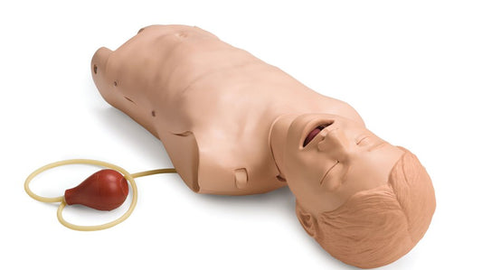 Pediatric Intubation Trainer Torso