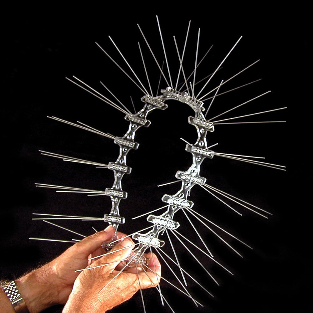 Bird-B-Gone 5inch Stainless Steel Spikes 5"x6'